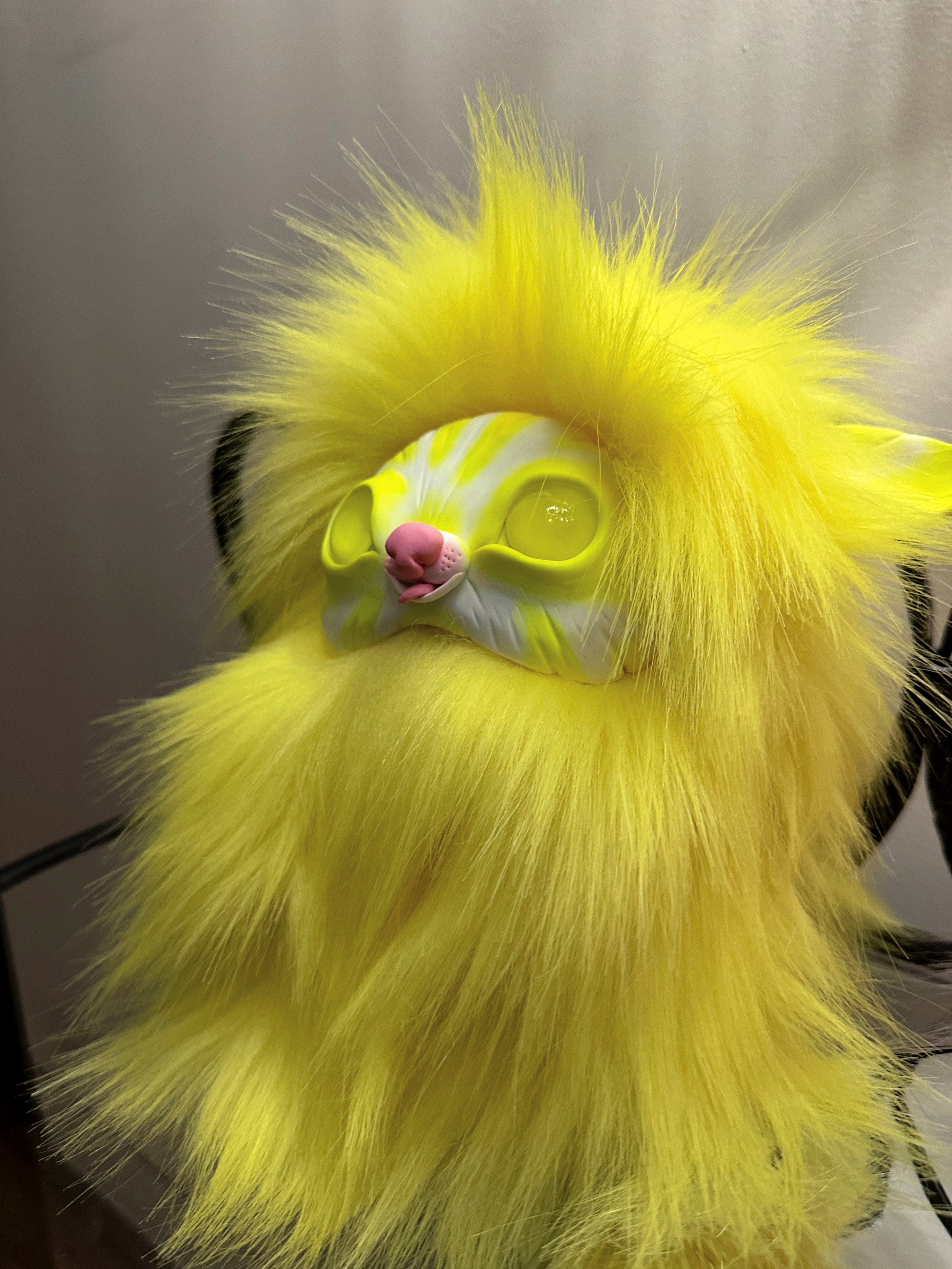 Лимон — Солнечный кот с полосатой мордочкой