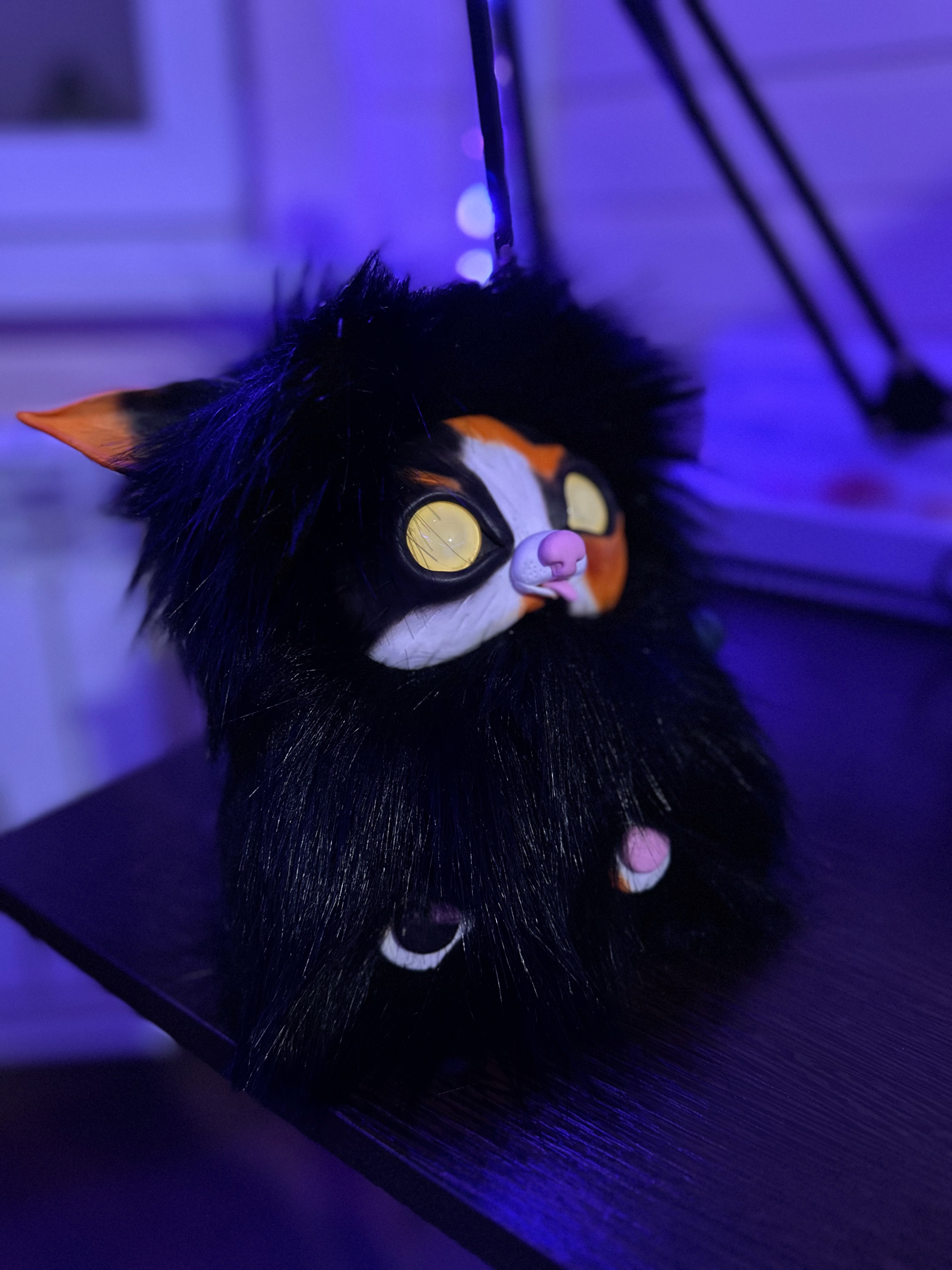 Ноктюрн — Ночной кот с золотыми глазами